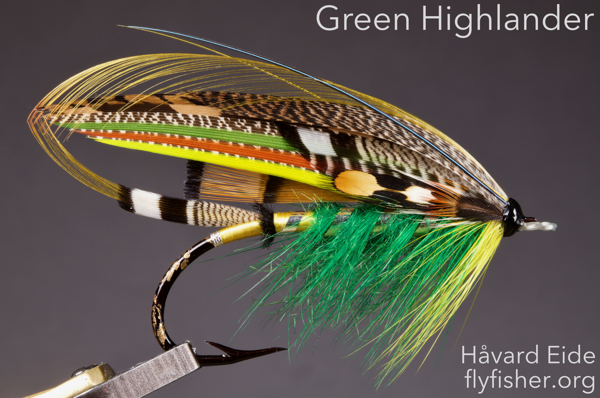 Green Highlander, Atlantic Salmon Flies