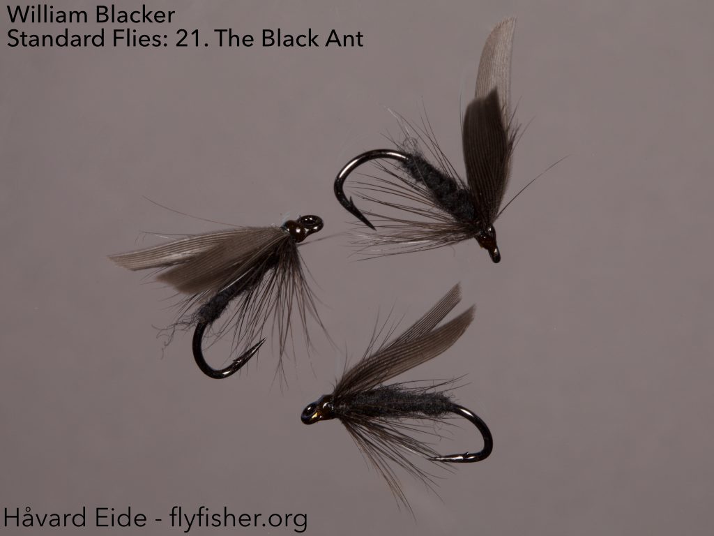 SoF - Spirit of Flyfisher - Gosling Tying and Takes 