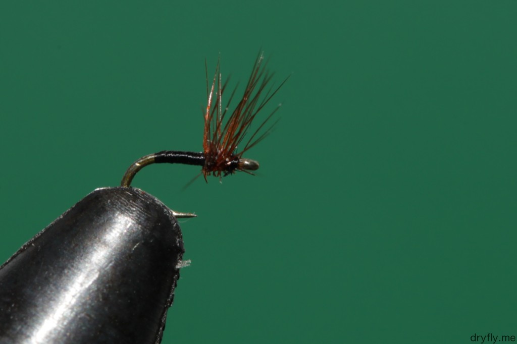 2013.04.dryfly.me.32_hackle