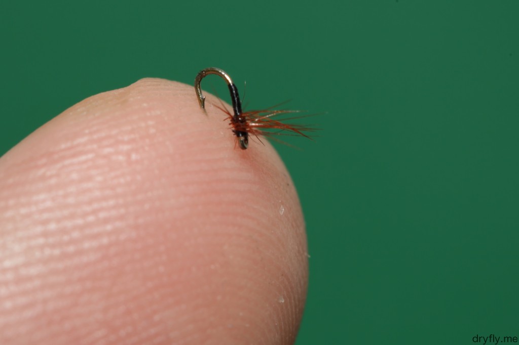 2013.04.dryfly.me.32_hackle_finger