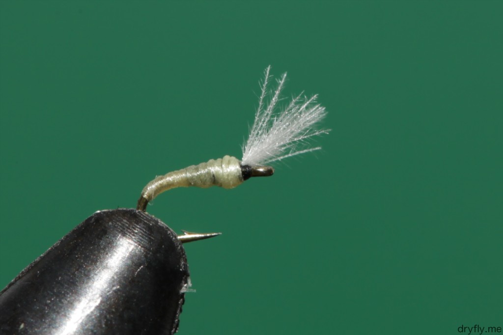 2013.04.dryfly.me.32_tiny_midge_adult_upright