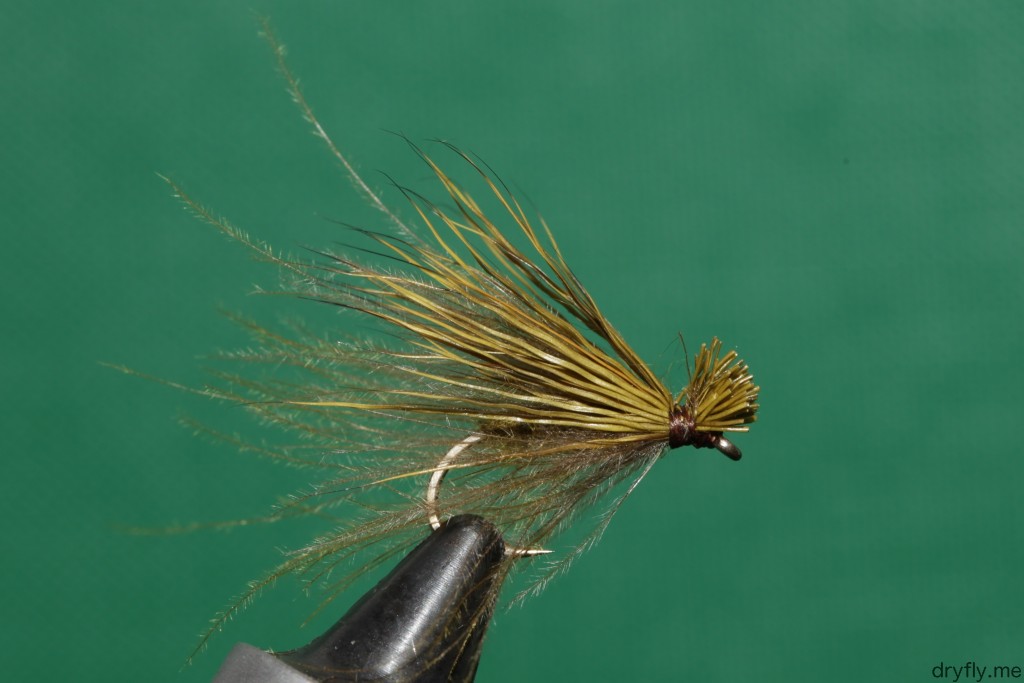 2013.04.dryfly.me.deer_cdc_long