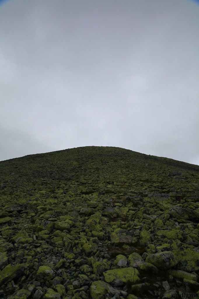 2013.04.dryfly.me.langrumpa_bugger_mountain_green