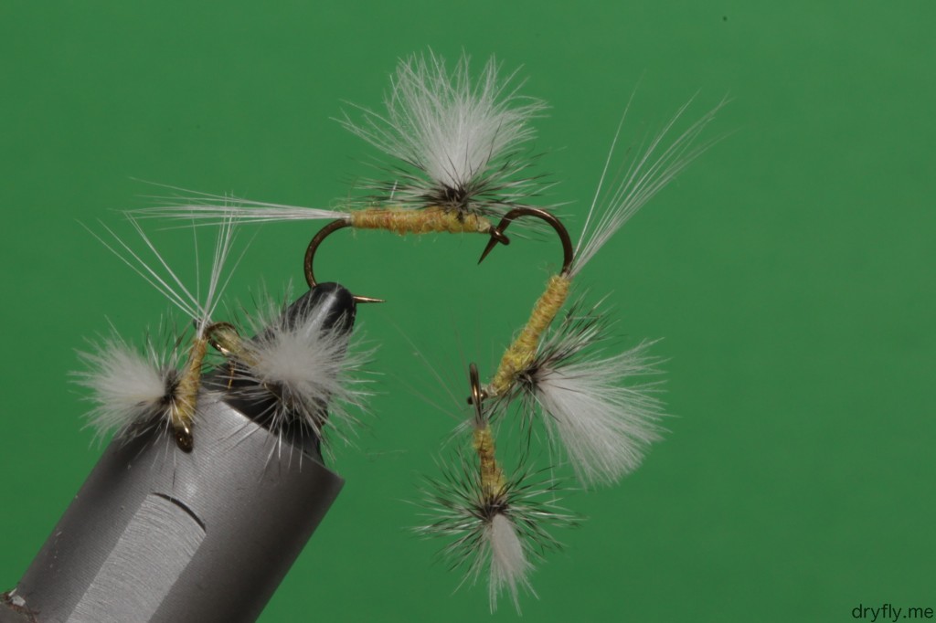 2013.05.dryfly.me.aurivilli