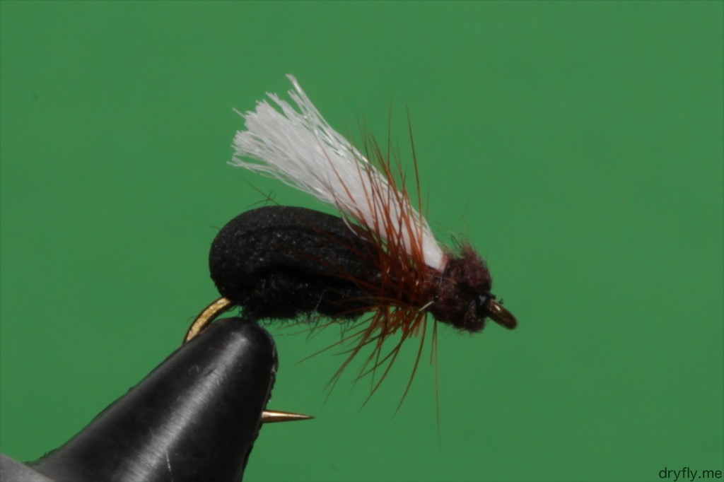 2013.05.dryfly.me.foam_ant