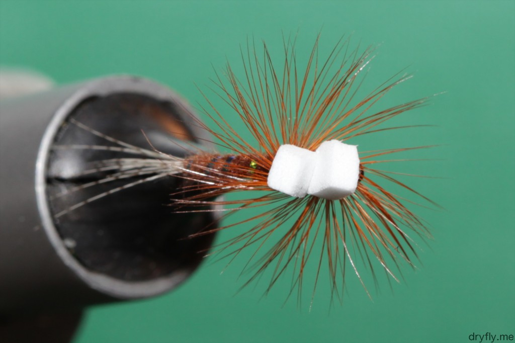 2013.05.dryfly.me.hatching_red_top