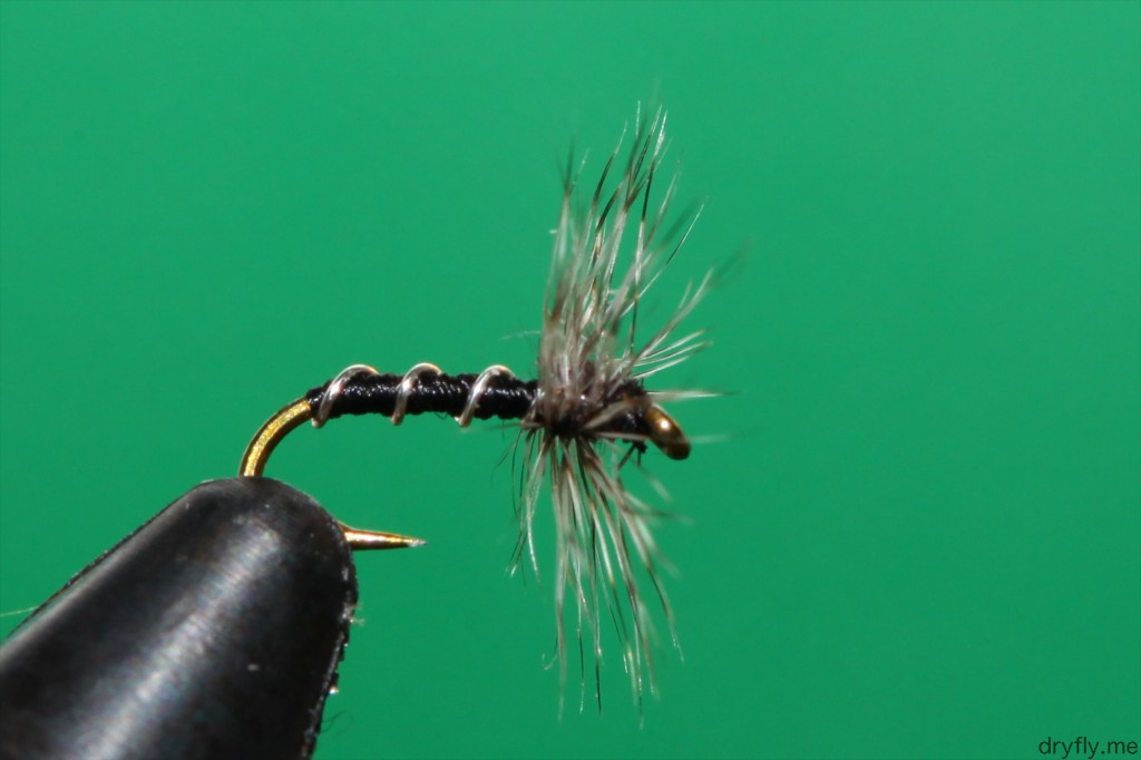 2013.05.dryfly.me.midge_adult_22