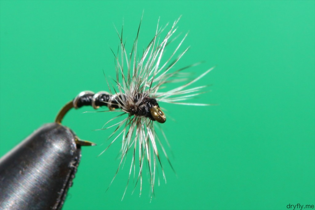 2013.05.dryfly.me.midge_adult_22_front