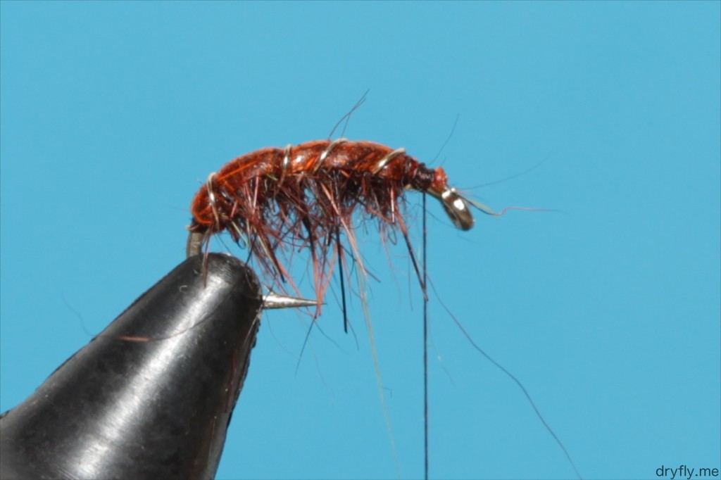 2013.05.dryfly.me.wapsi_nymph_nymph
