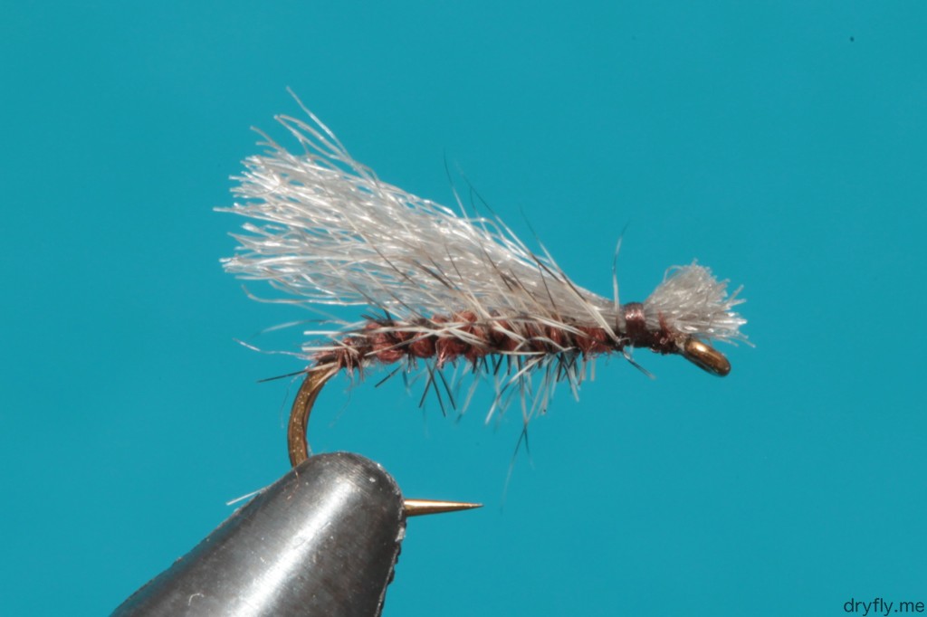 2013.06.dryfly.me.caddis_side