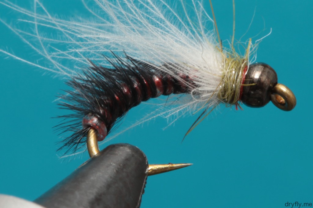 2013.06.dryfly.me.cdc_nymph_close