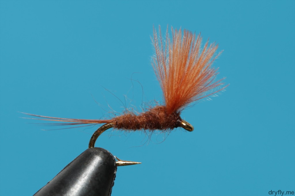 2013.06.dryfly.me.no_hackle_cdc