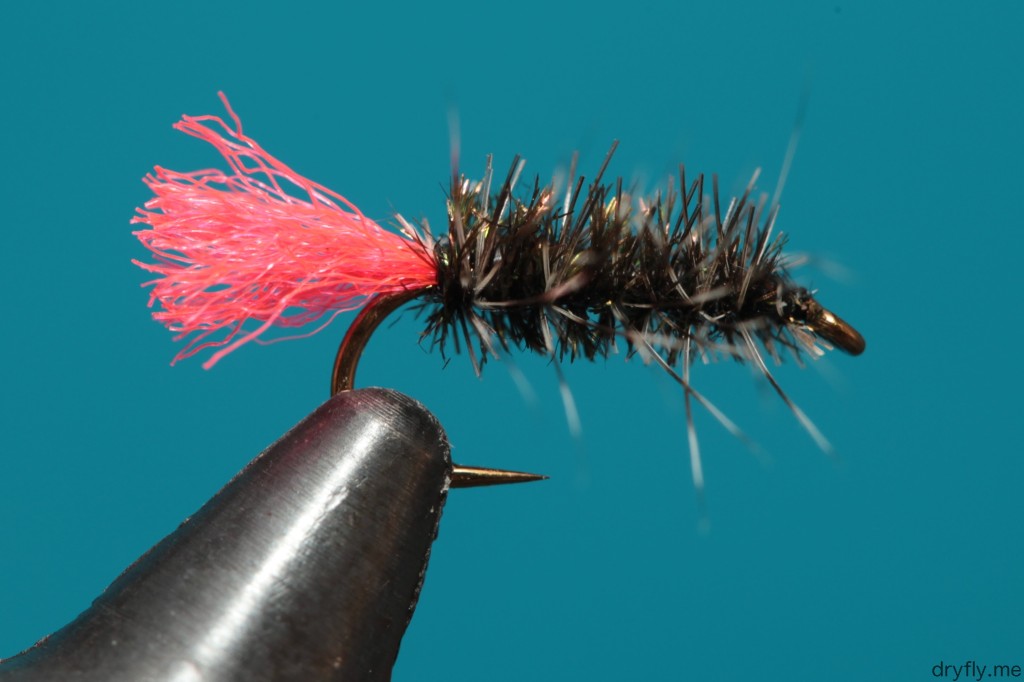 2013.06.dryfly.tagged