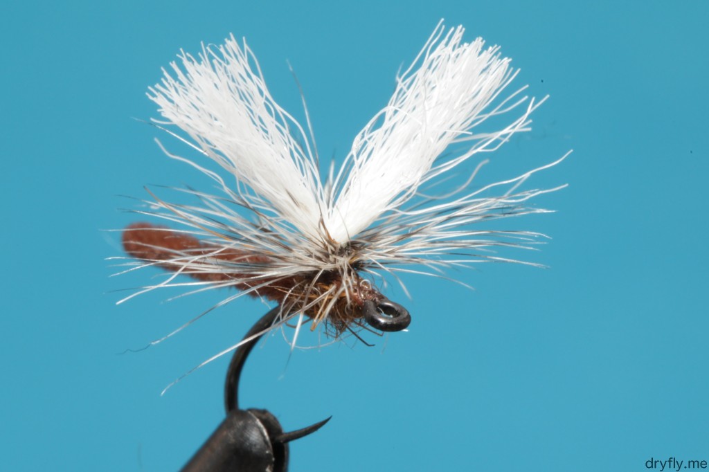 2013.06.kvitre.no.mayfly_polychenille_body_front