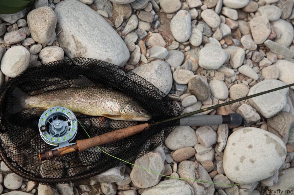 2013.07.dryfly.me.summer_trout