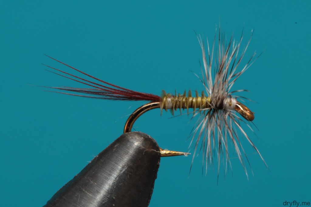 2013.08.dryfly.me.hackle