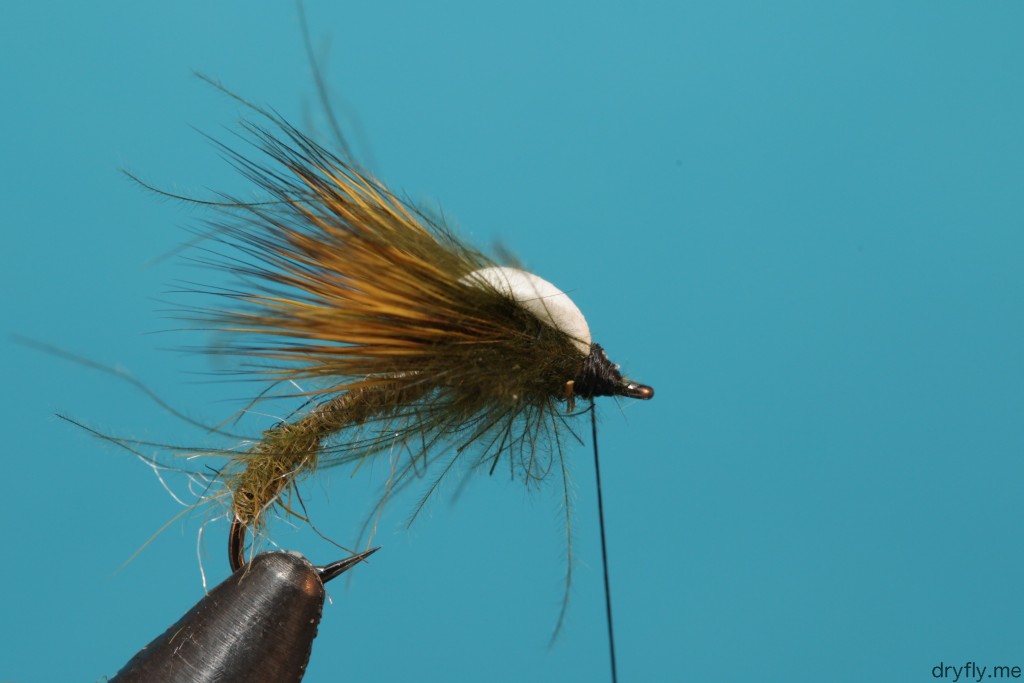 dryfly.me.2013.08.sbs_hatching_caddis_7
