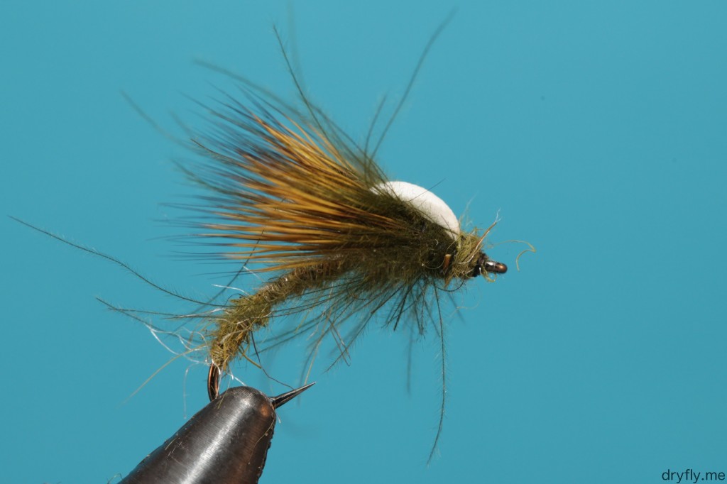 dryfly.me.2013.08.sbs_hatching_caddis_9