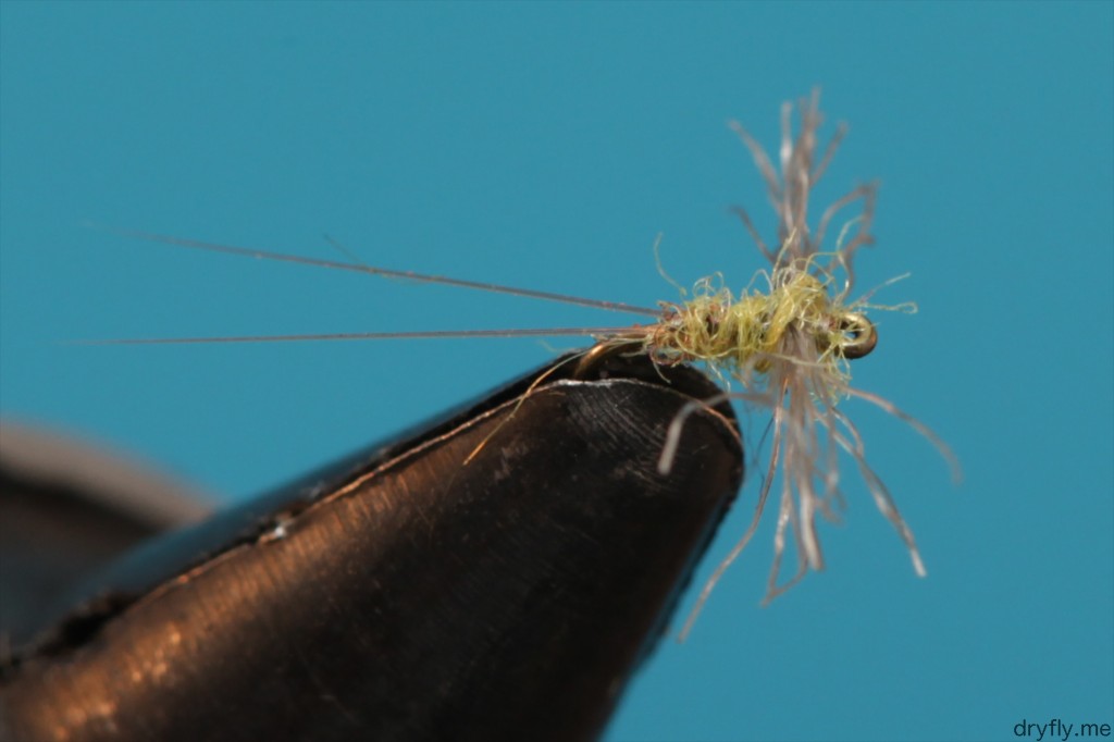 dryfly.me.2013.08.spent_spinner_32_1