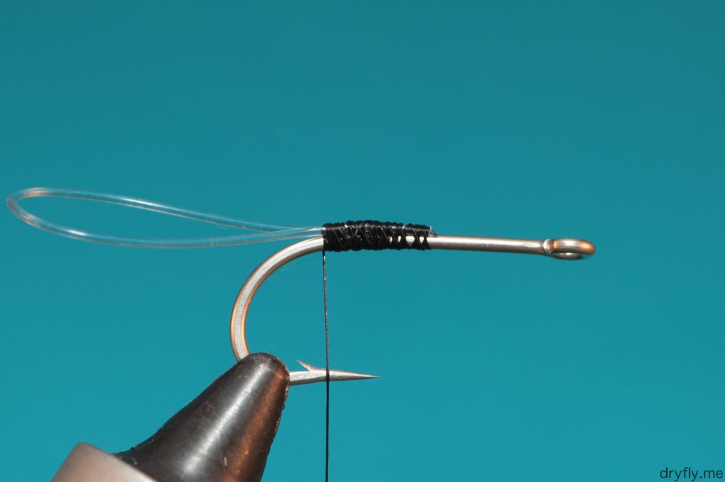 dryfly.me.2013.09.bait_fish_1