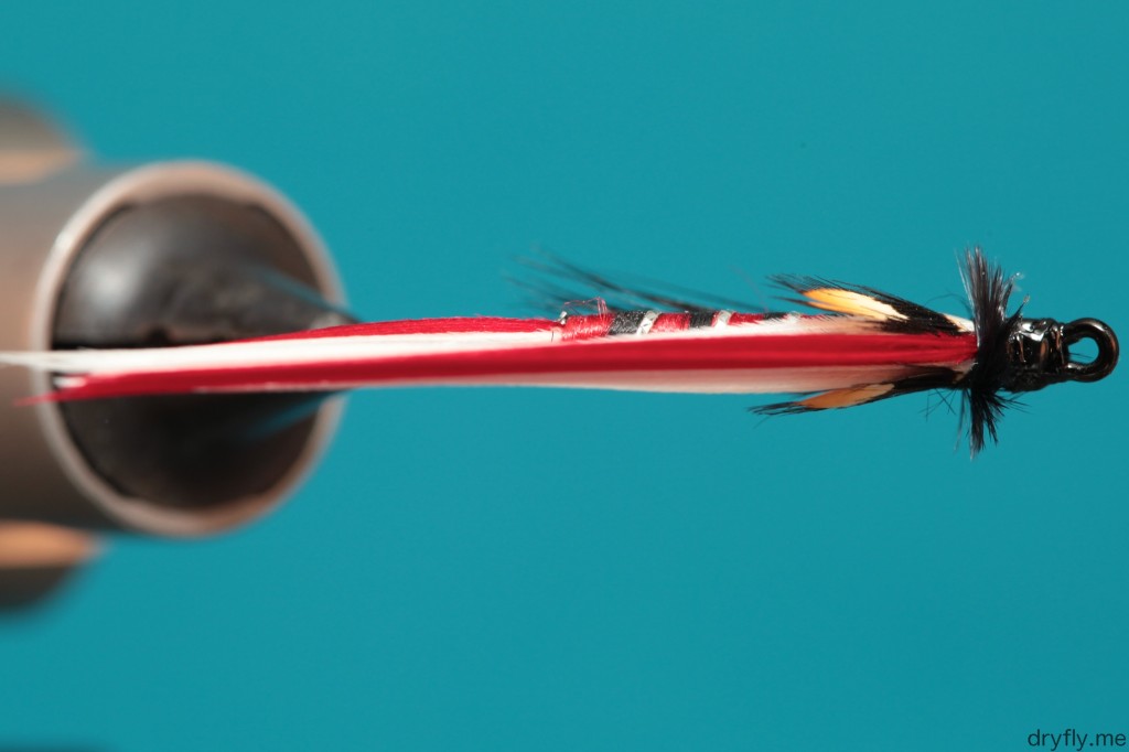 kvitre.no.2013.09.21.married_wings_jungle_2