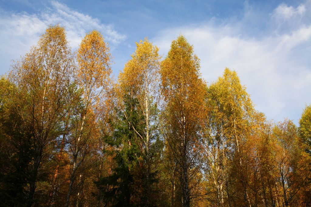 dryfly.me.2013.10.07.new_waters_2