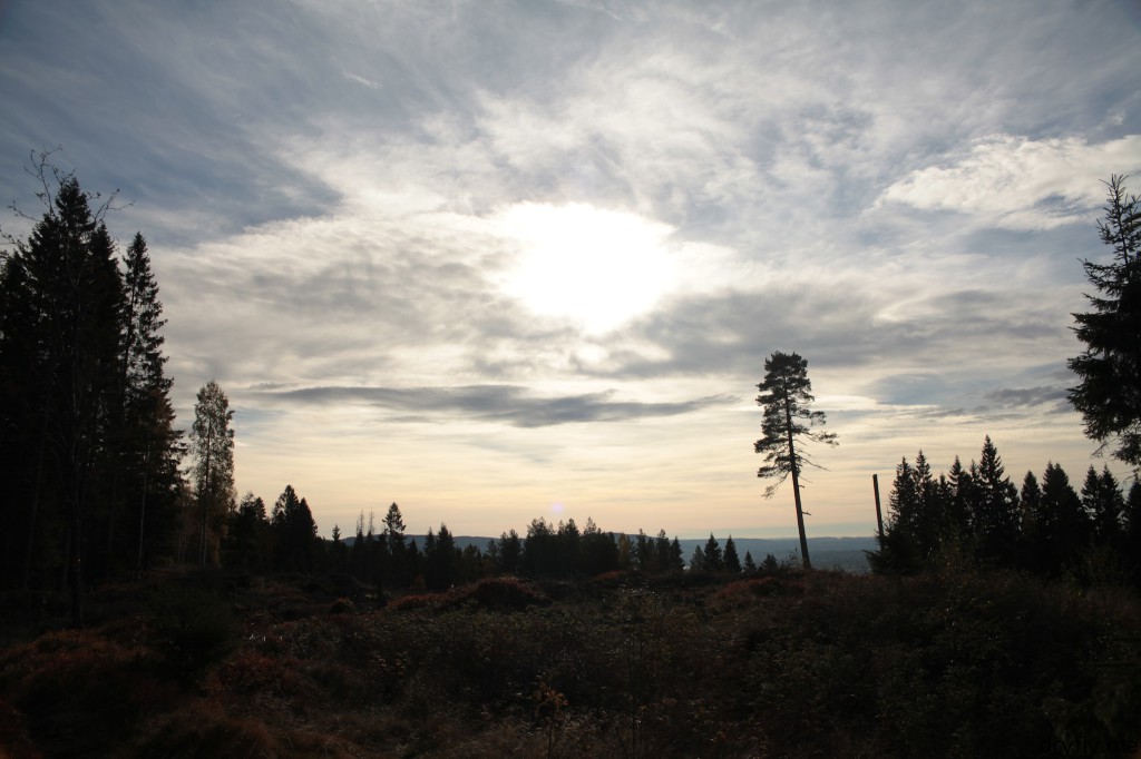 dryfly.me.2013.10.07.new_waters_3