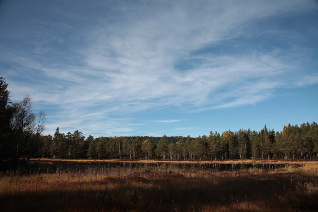 dryfly.me.2013.10.07.new_waters_4