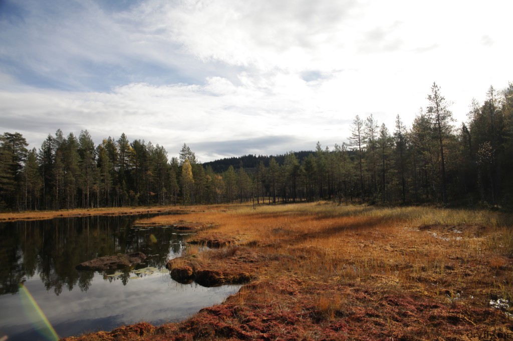 dryfly.me.2013.10.07.new_waters_6