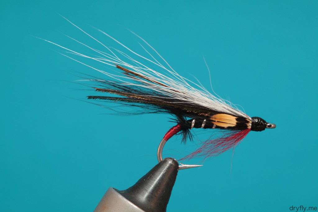 dryfly.me.2013.10.10.salt_freestyle