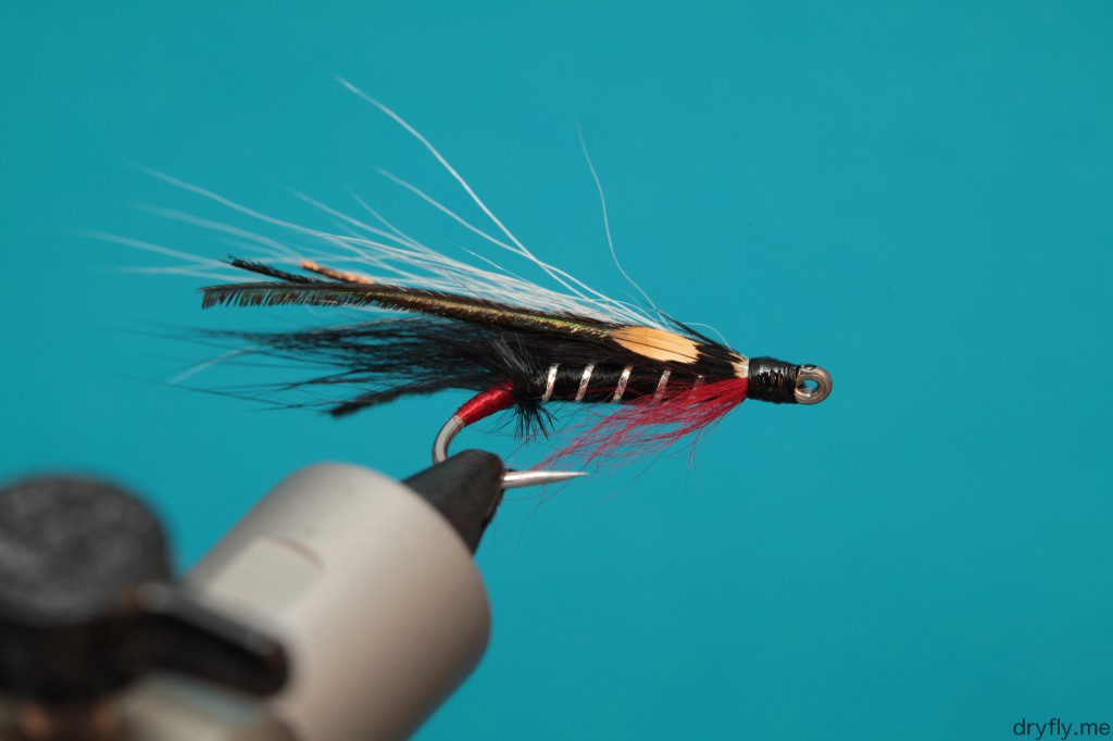 dryfly.me.2013.10.10.salt_freestyle_bottom