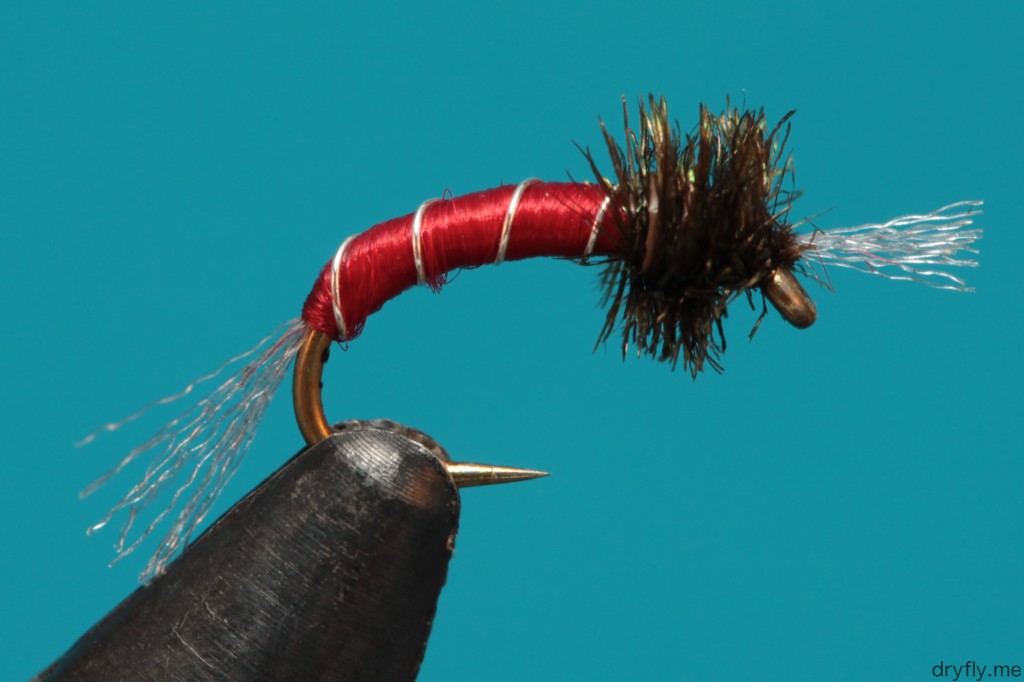 dryfly.me.2013.10.16.red_midge_pupae