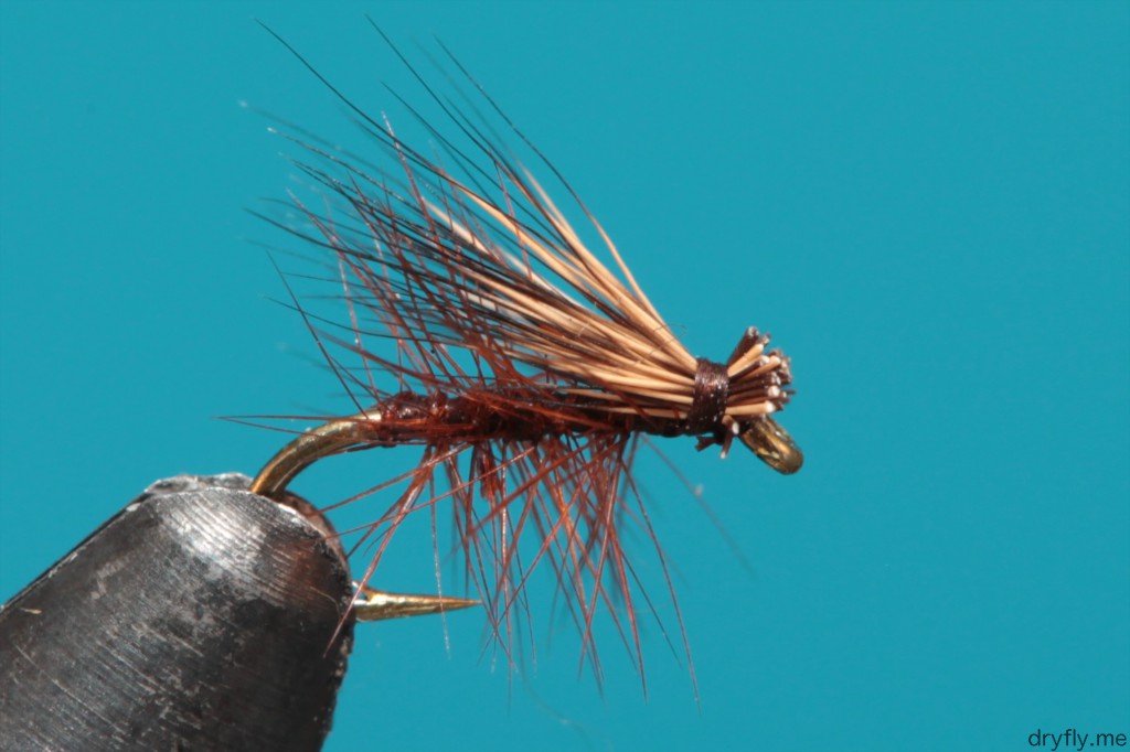dryfly.me.2013.10.19.shucking_deer_hair_caddis