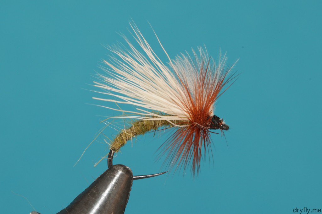 dryfly.me.2013.10.30.caddis_green
