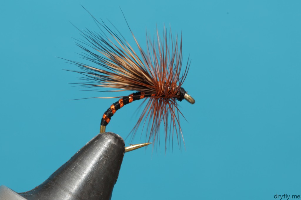 dryfly.me.2013.11.05.caddis_black_gold