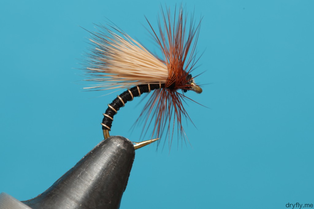 dryfly.me.2013.11.05.caddis_black_gold_2