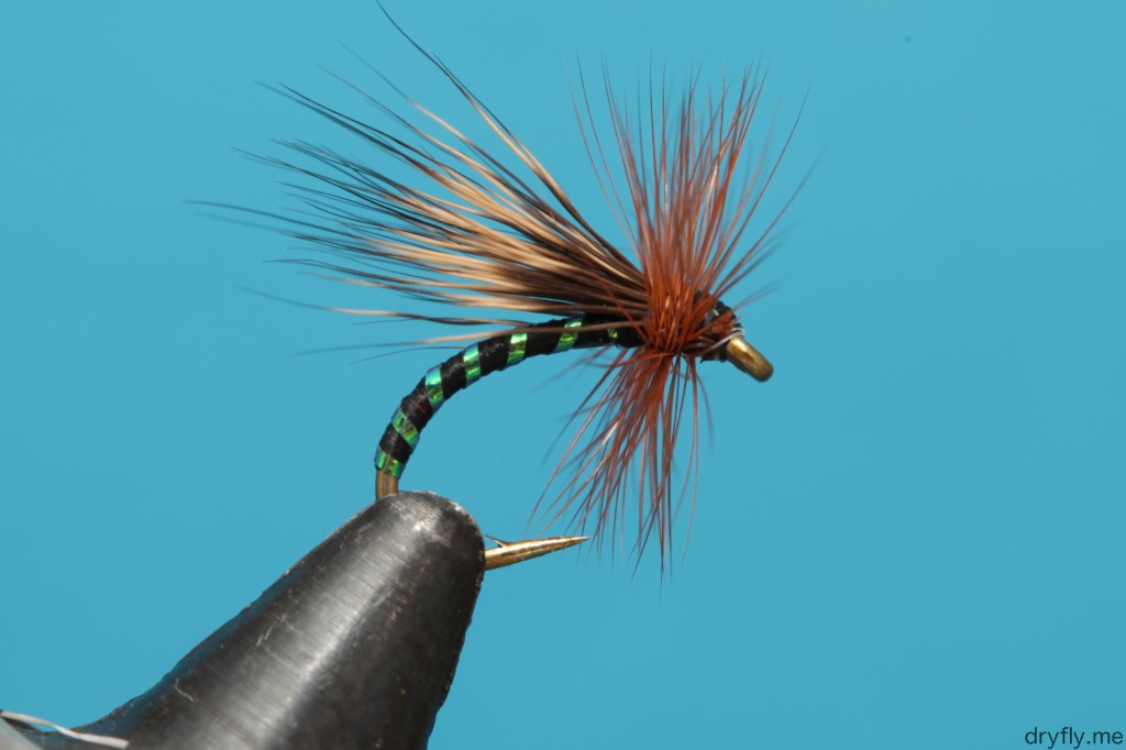 dryfly.me.2013.11.05.caddis_black_green