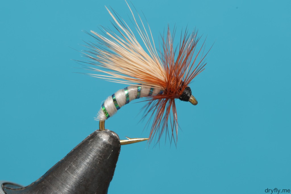 dryfly.me.2013.11.05.caddis_white_green