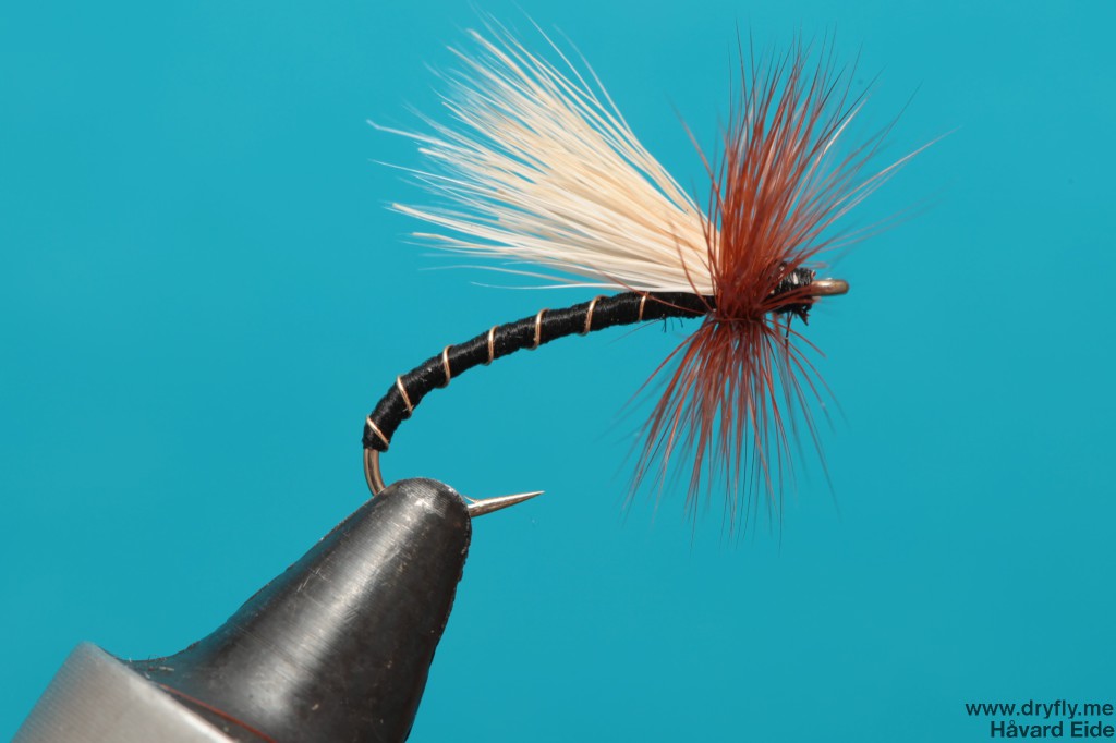 dryfly.me.2013.11.19.caddis_2xlong_hook_black