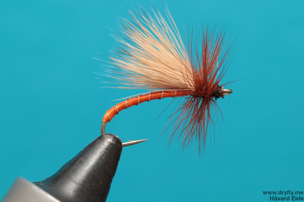 dryfly.me.2013.11.19.caddis_2xlong_hook_orange