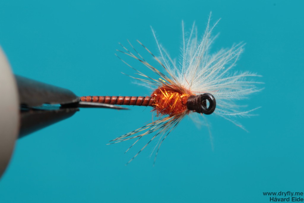 2013.12.06.emerger_bottom