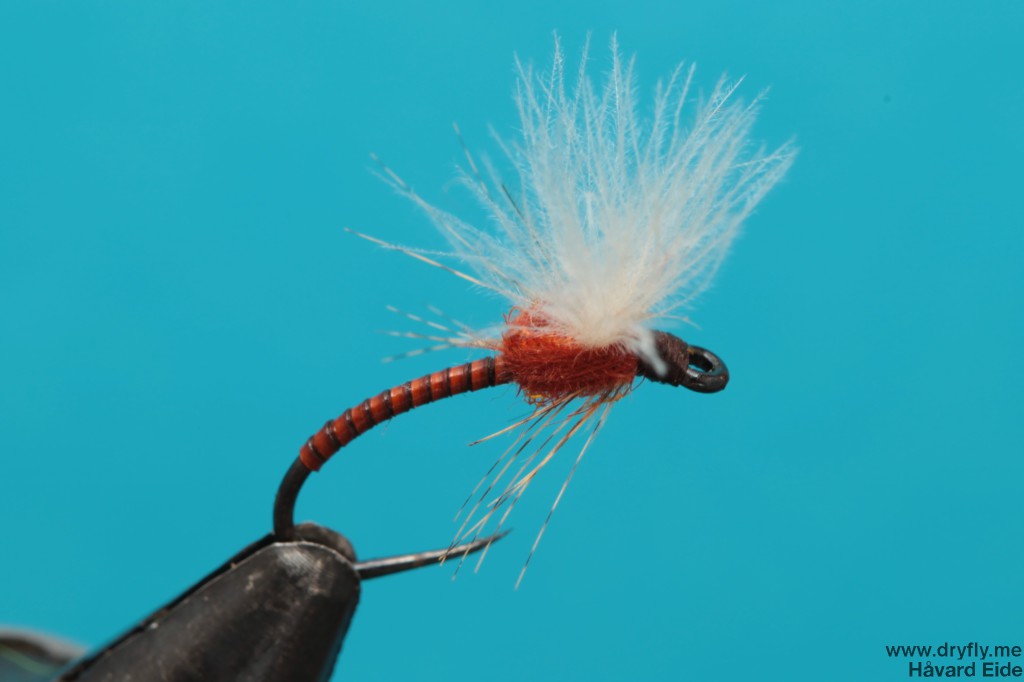 2013.12.06.emerger_top