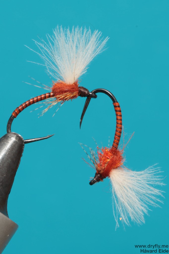 2013.12.06.emerger_two