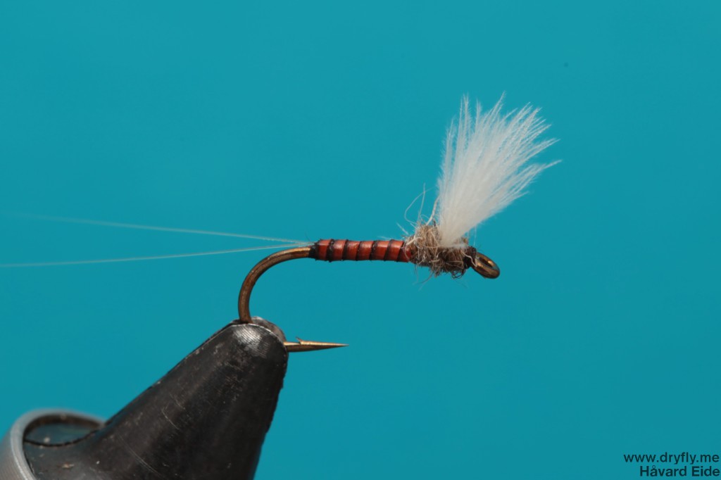 2013.12.06.no_hackle_quill_1