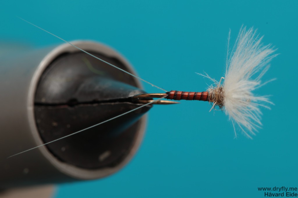 2013.12.06.no_hackle_quill_2