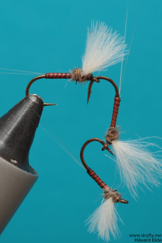 2013.12.06.no_hackle_quill_3