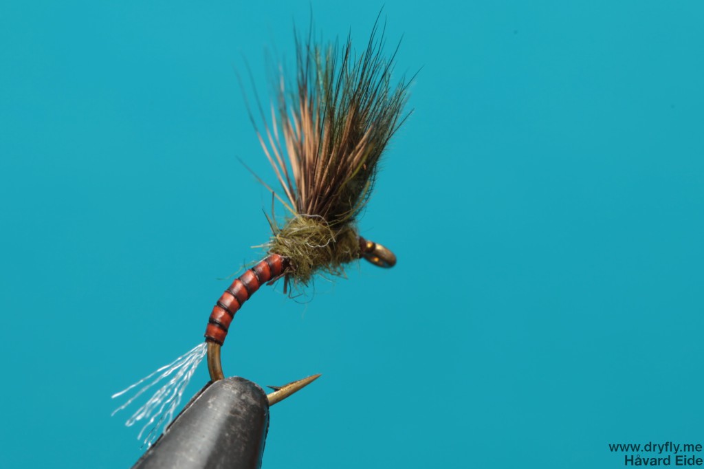 dryfly.me.2013.12.08.emerger_back
