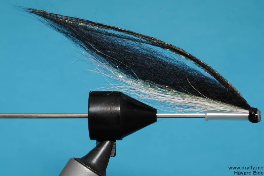 dryfly.me.2013.12.10.sunray_1