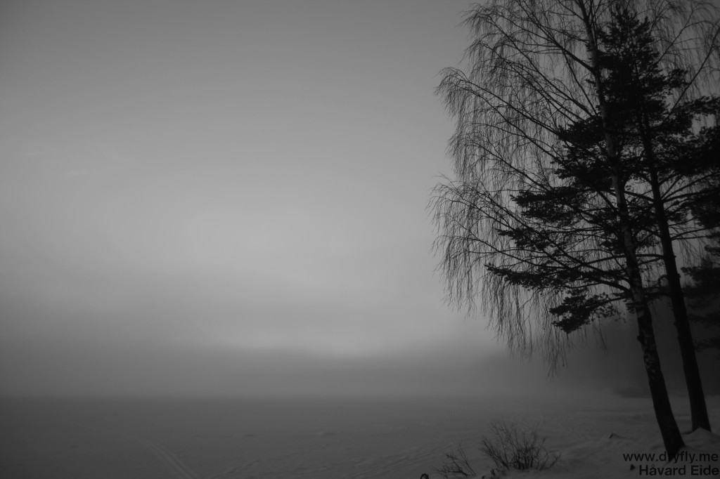 dryfly.me.2013.12.16.winter_4