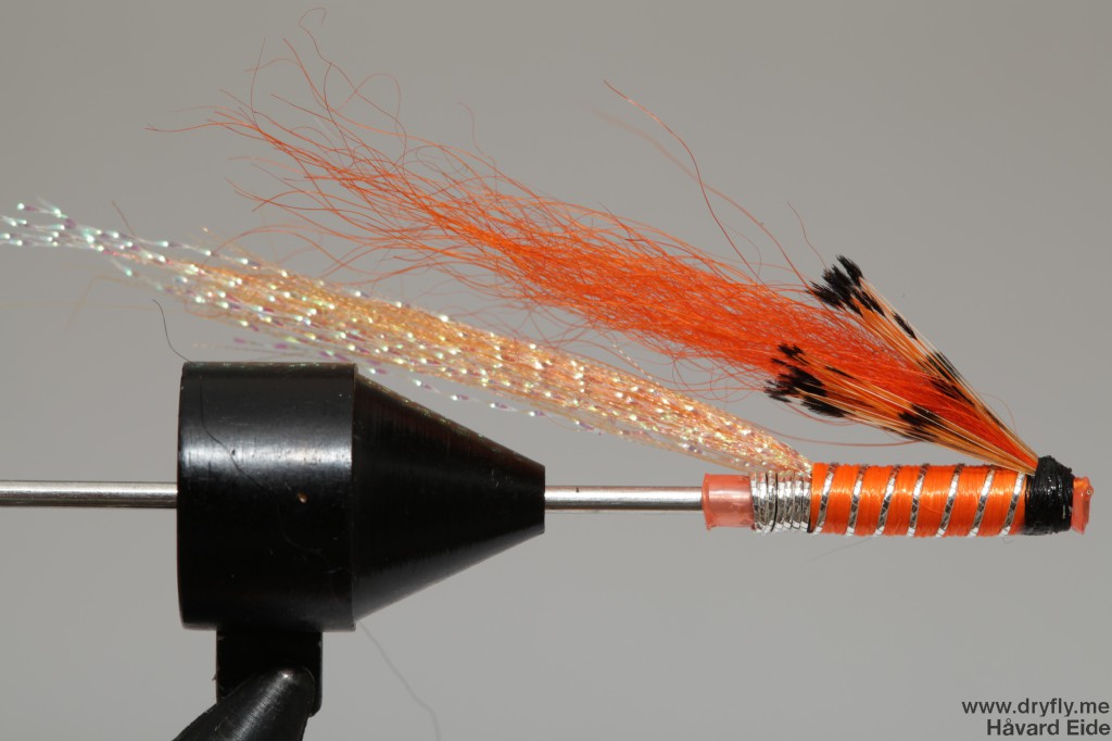 dryfly.me.2013.12.17.shrimp2